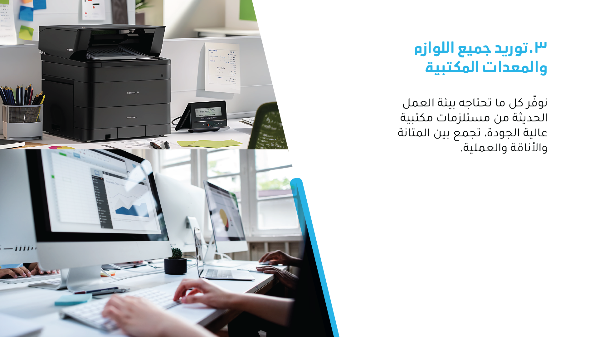 القسم السابع